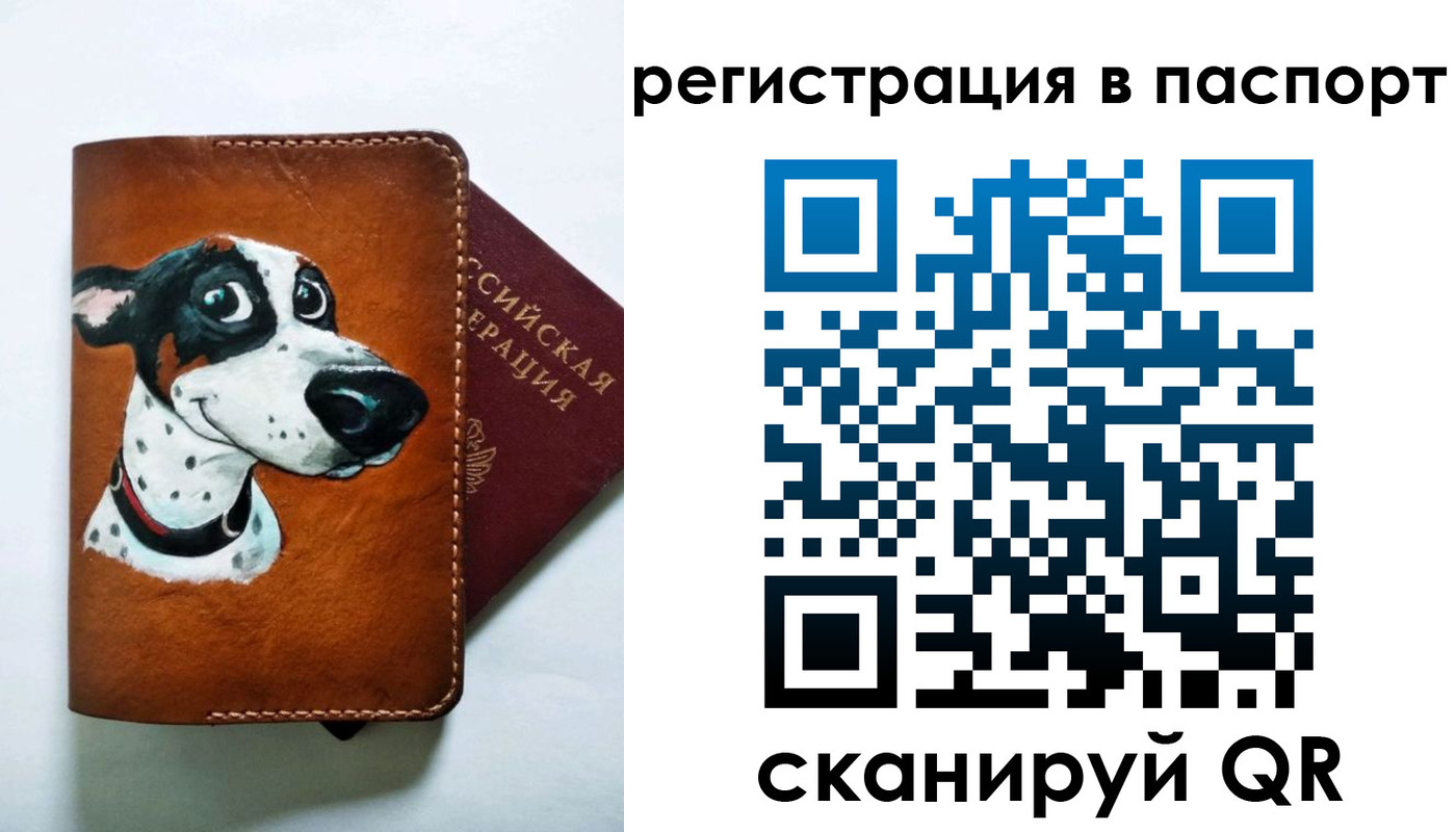 прописка штамп в Фролово